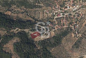 MUĞLA MENTEŞE DAĞDİBİ MAHALLESİNDE 3 DÖNÜM TARLA - 4 - 341248