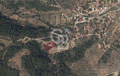 MUĞLA MENTEŞE DAĞDİBİ MAHALLESİNDE 3 DÖNÜM TARLA