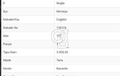 MUĞLA MENTEŞE DAĞDİBİ MAHALLESİNDE 3 DÖNÜM TARLA