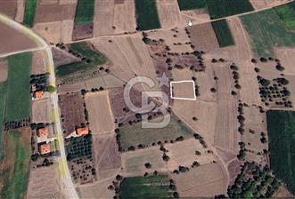 YEŞİLOVA'DA SATILIK TARLA - 2 - 341342