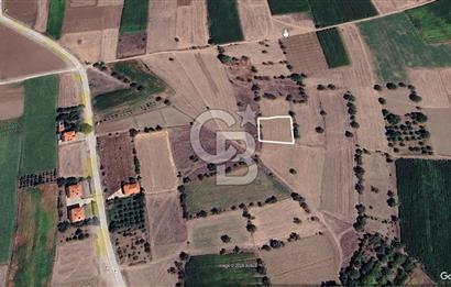 YEŞİLOVA'DA SATILIK TARLA