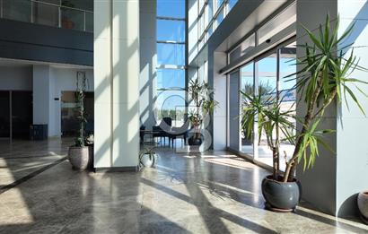 Turgutlu OSB de Satılık Fabrika 18.711 m² Arsa 9.850 m² Kapalı Alan