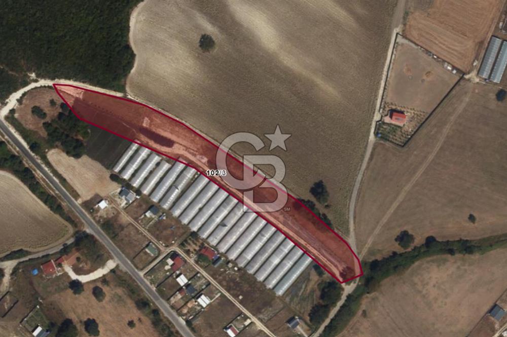 Çatalca Dağyenice Mahallesinde Satılık 259m2 Parsel