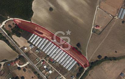 Çatalca Dağyenice Mahallesinde Satılık 259m2 Parsel