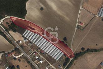 Çatalca Dağyenice Mahallesinde Satılık 259m2 Parsel - 1 - 341336