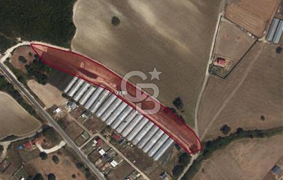 Çatalca Dağyenice Mahallesinde Satılık 259m2 Parsel