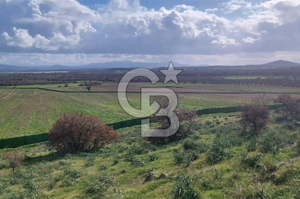 EGE' DE BİR KÖY DİKİLİ DEMİRTAŞ 500 M² FIRSAT TARLA