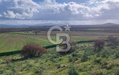 EGE' DE BİR KÖY DİKİLİ DEMİRTAŞ 500 M² FIRSAT TARLA