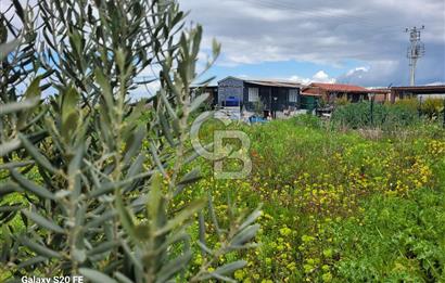 izmir kaklıç'ta kaçırılmayacak yatırımlık fırsat arazi