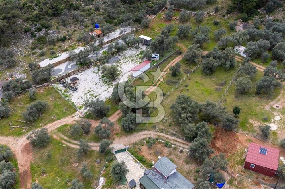 Menteşe Akbük'te Satılık 547m² Tarla