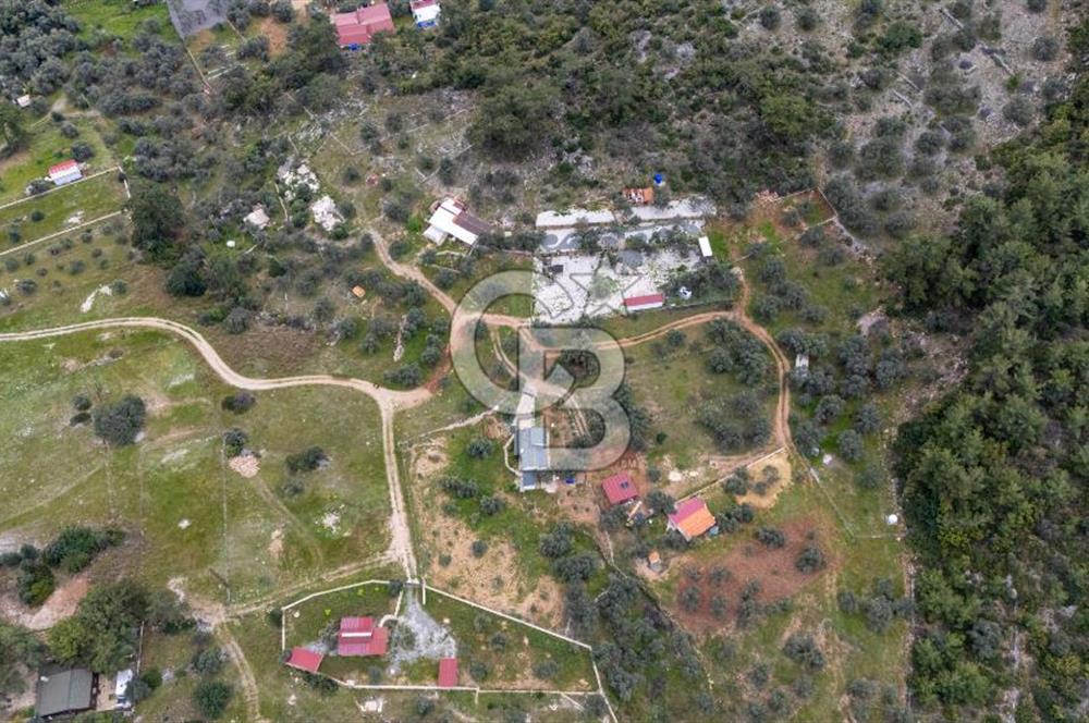 Menteşe Akbük'te  319m² Satılık Tarla