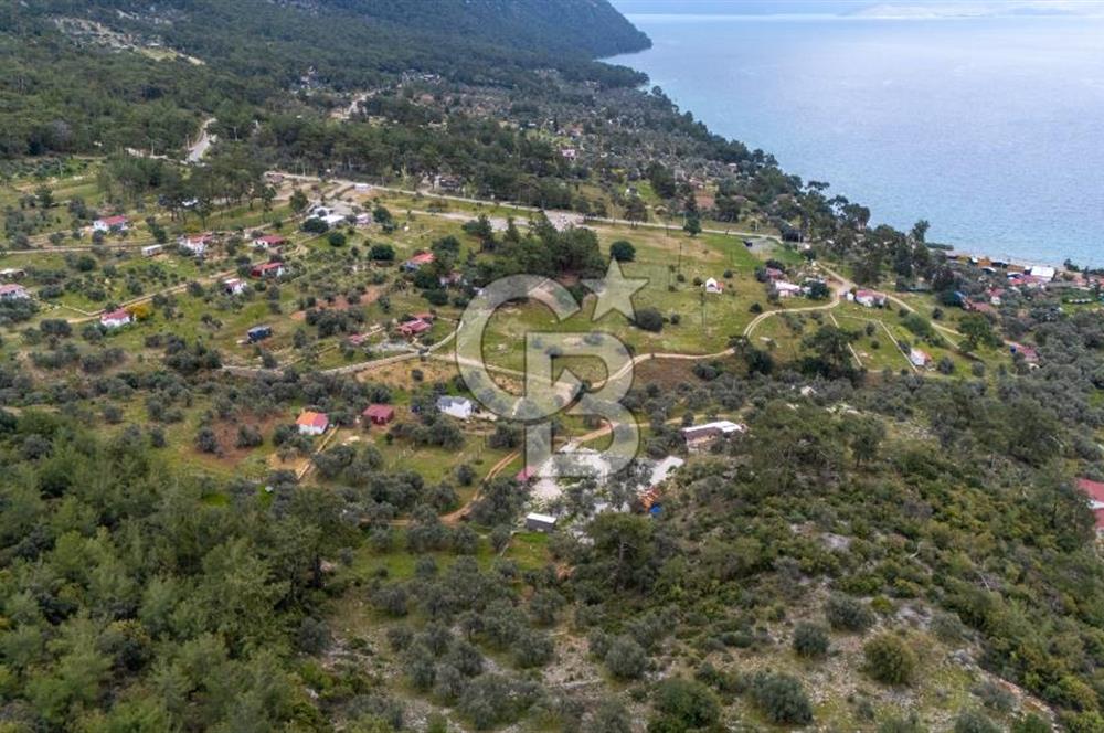 Menteşe Akbük'te Satılık 547m² Tarla