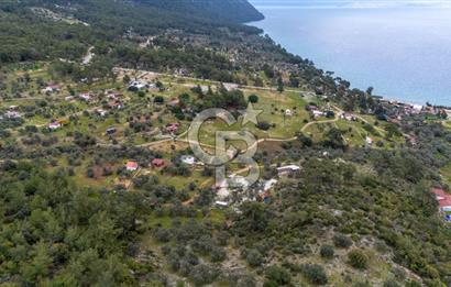 Menteşe Akbük'te Satılık 547m² Tarla