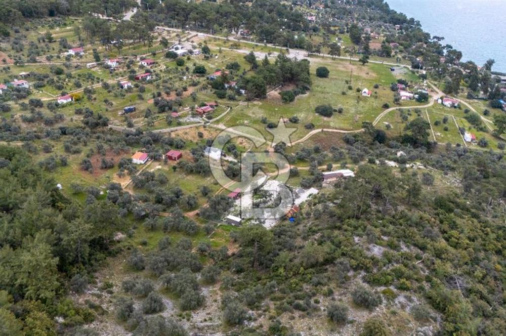 Menteşe Akbük'te  319m² Satılık Tarla