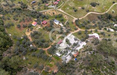 Menteşe Akbük'te  319m² Satılık Tarla