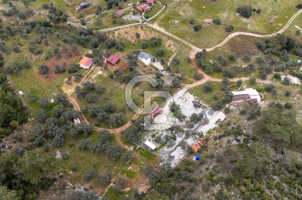 Menteşe Akbük'te Satılık 547m² Tarla