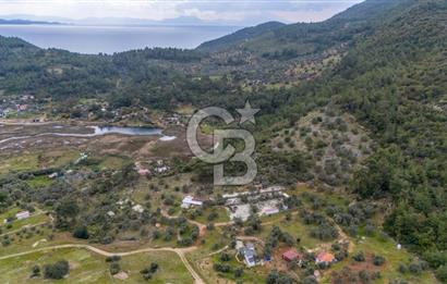 Menteşe Akbük'te Satılık 547m² Tarla