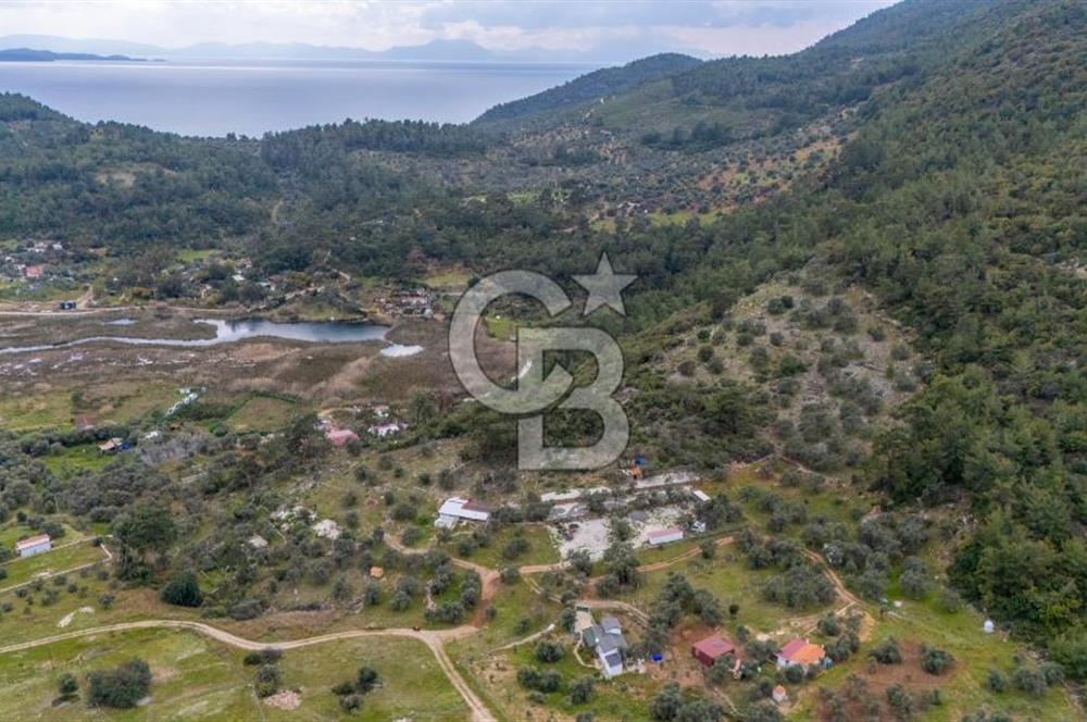 Menteşe Akbük'te  319m² Satılık Tarla