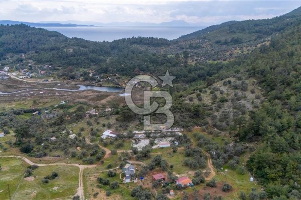 Menteşe Akbük'te Satılık 547m² Tarla