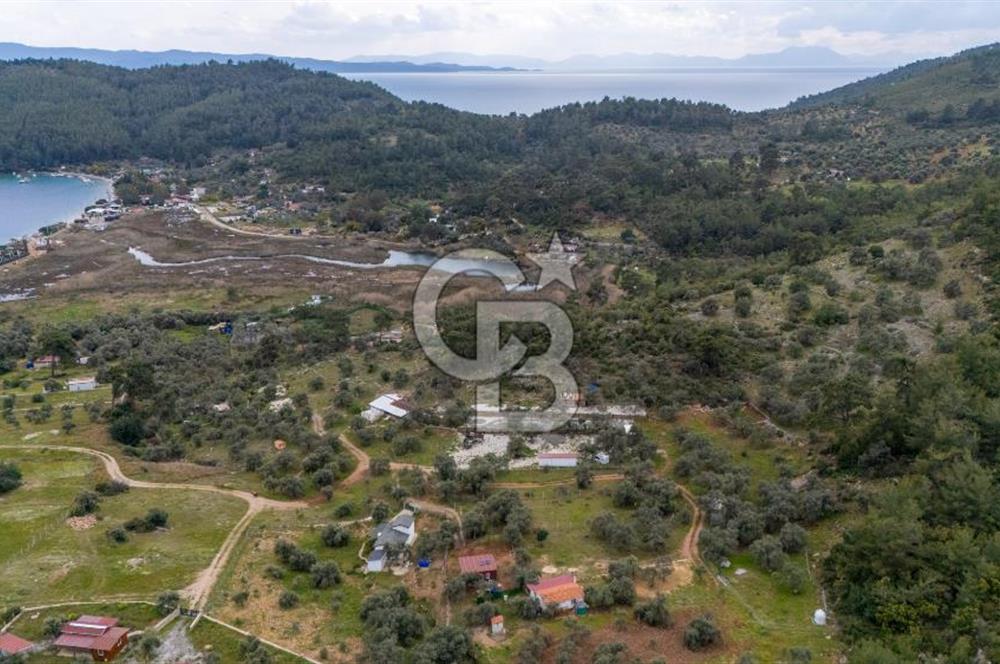 Menteşe Akbük'te Satılık 547m² Tarla