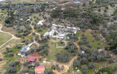 Menteşe Akbük'te Satılık 547m² Tarla