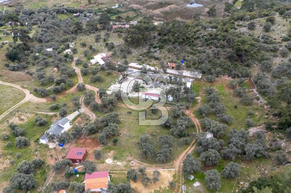 Menteşe Akbük'te  319m² Satılık Tarla