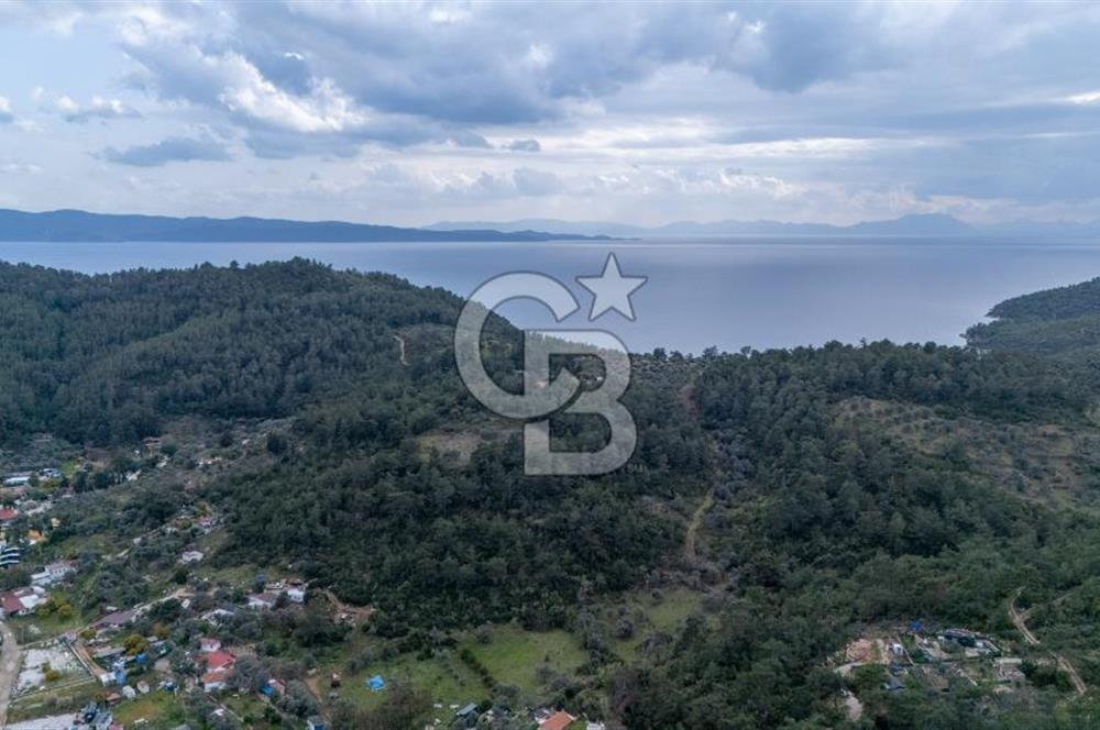 Menteşe Akbük'te 371m² Satılık Tarla