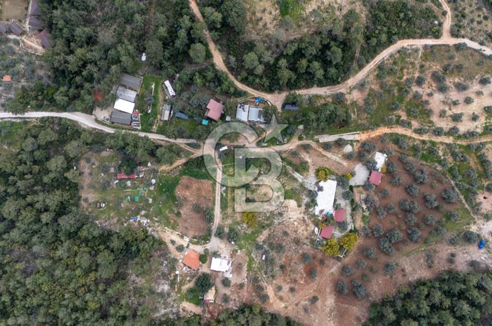 Menteşe Akbük'te 371m² Satılık Tarla