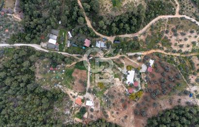 Menteşe Akbük'te 371m² Satılık Tarla