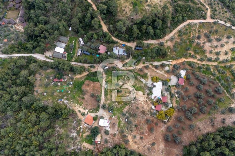 Menteşe Akbük'te 371m² Satılık Tarla