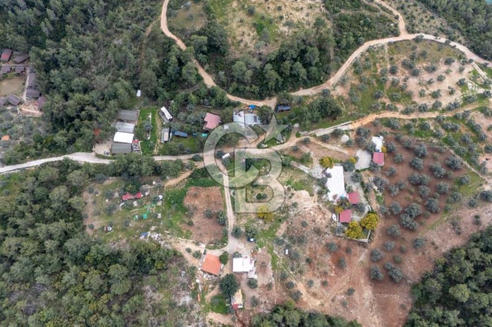 Menteşe Akbük'te 371m² Satılık Tarla