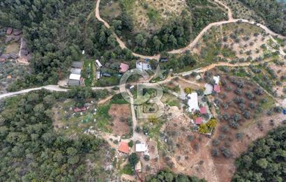 Menteşe Akbük'te 371m² Satılık Tarla