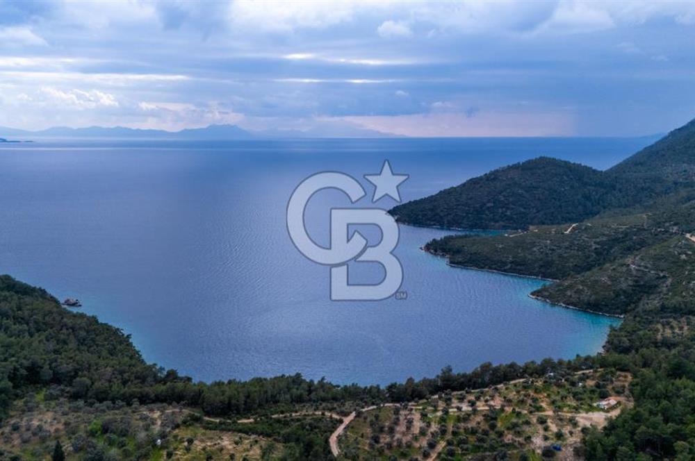 Menteşe Akbük'te  319m² Satılık Tarla