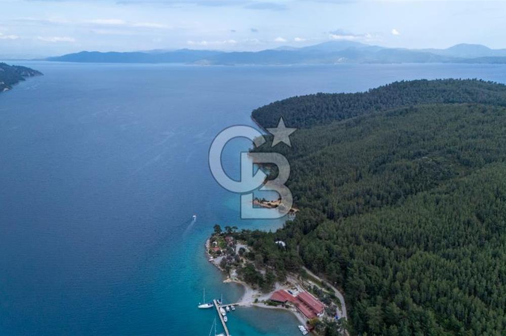 Menteşe Akbük'te  319m² Satılık Tarla