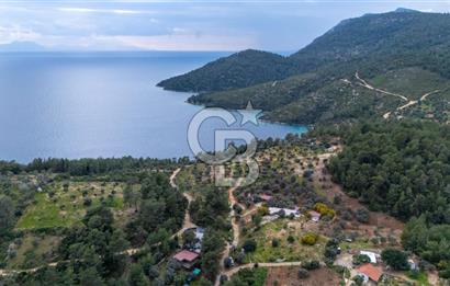 Menteşe Akbük'te 371m² Satılık Tarla