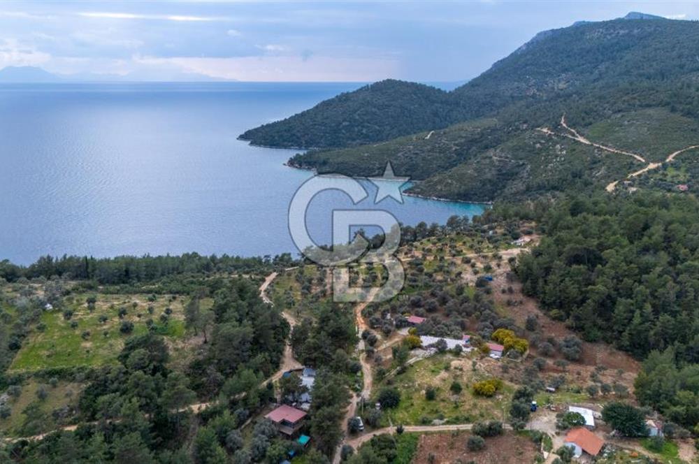 Menteşe Akbük'te Satılık 547m² Tarla