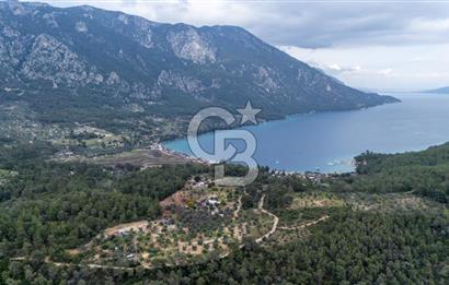 Menteşe Akbük'te 371m² Satılık Tarla