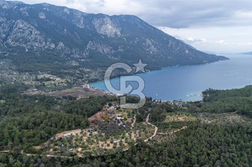 Menteşe Akbük'te Satılık 547m² Tarla