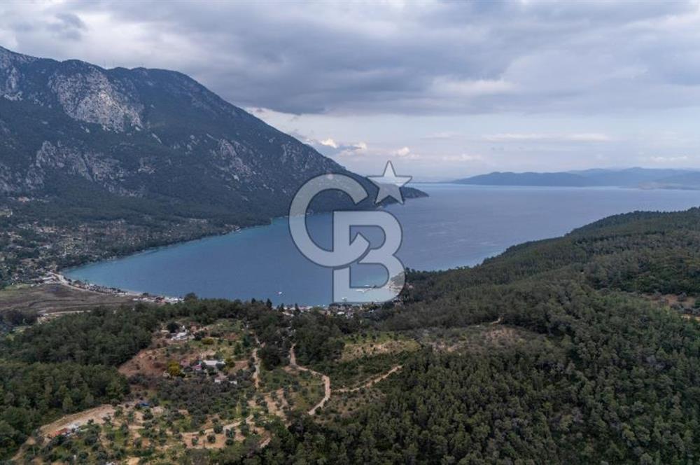 Menteşe Akbük'te  319m² Satılık Tarla