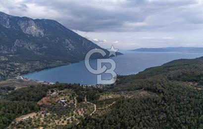 Menteşe Akbük'te  319m² Satılık Tarla