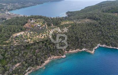 Menteşe Akbük'te 371m² Satılık Tarla