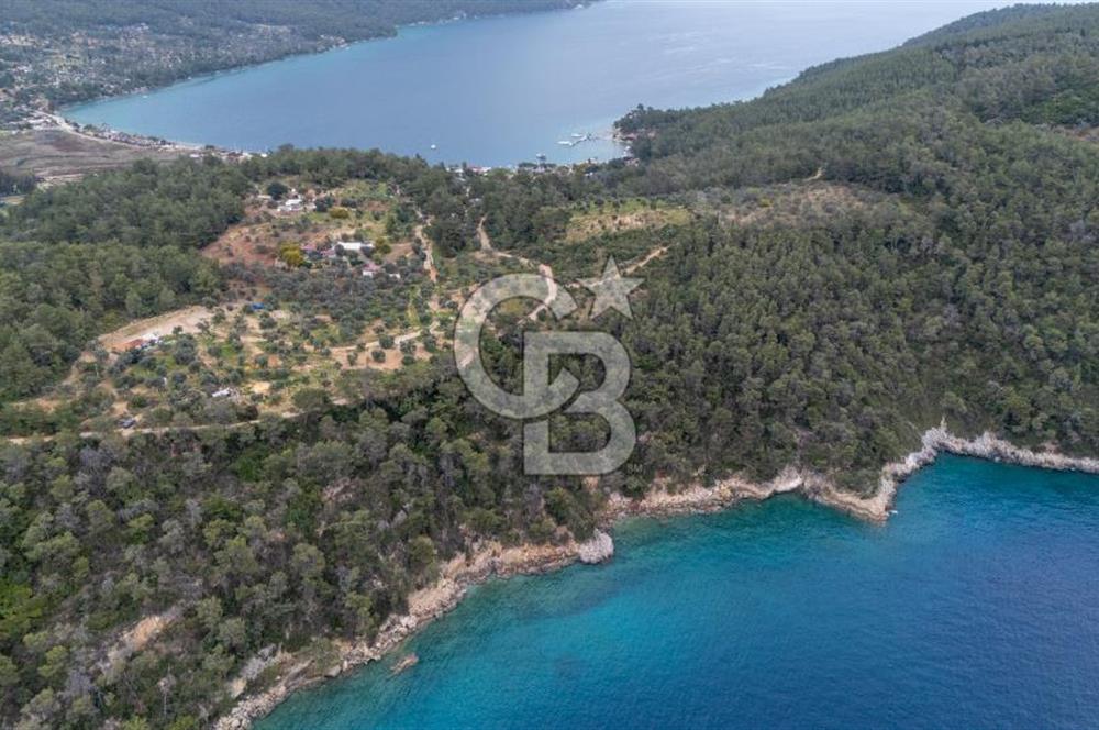 Menteşe Akbük'te Satılık 547m² Tarla