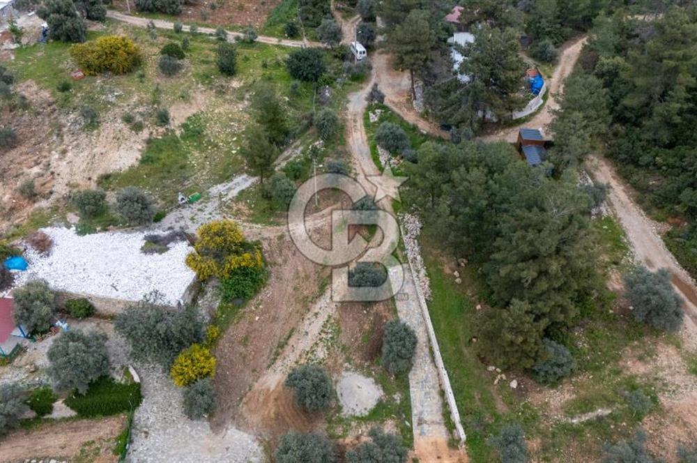 Menteşe Akbük'te 371m² Satılık Tarla