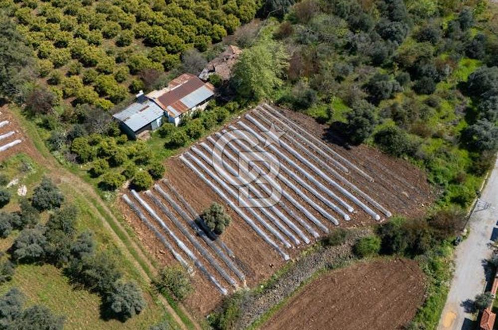 MUĞLA KÖYCEĞIZ YEŞİLKÖY'DE SATILIK TARLA İÇINDE KARGİR EV