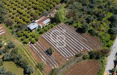 MUĞLA KÖYCEĞIZ YEŞİLKÖY'DE SATILIK TARLA İÇINDE KARGİR EV