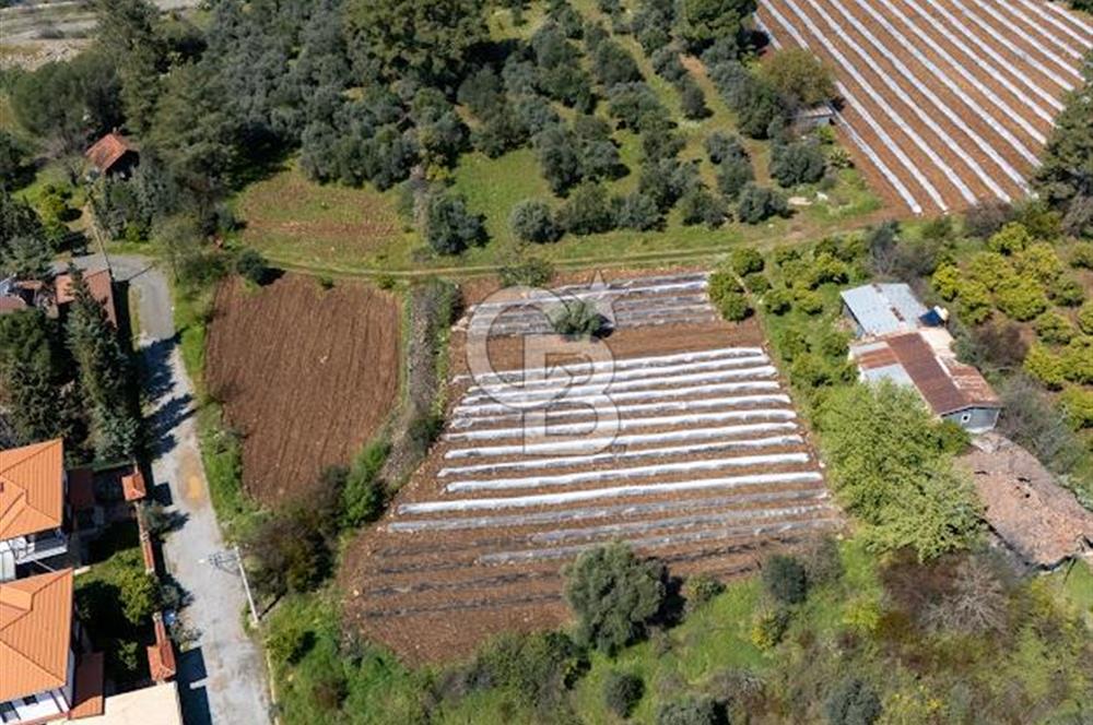 MUĞLA KÖYCEĞIZ YEŞİLKÖY'DE SATILIK TARLA İÇINDE KARGİR EV