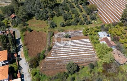 MUĞLA KÖYCEĞIZ YEŞİLKÖY'DE SATILIK TARLA İÇINDE KARGİR EV