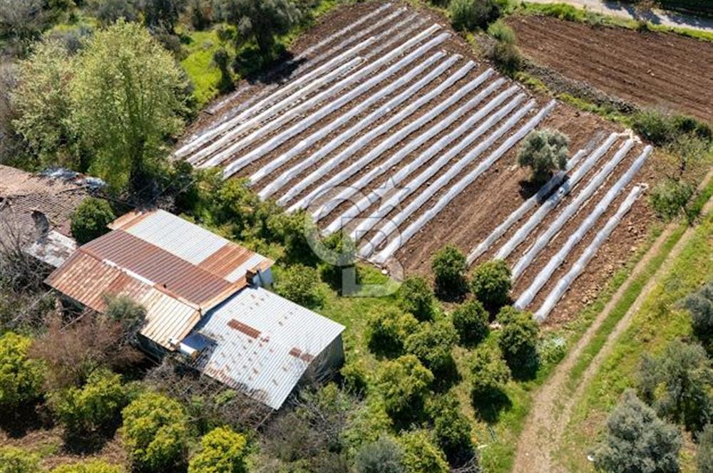 MUĞLA KÖYCEĞIZ YEŞİLKÖY'DE SATILIK TARLA İÇINDE KARGİR EV