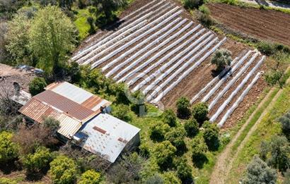 MUĞLA KÖYCEĞIZ YEŞİLKÖY'DE SATILIK TARLA İÇINDE KARGİR EV