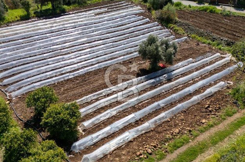 MUĞLA KÖYCEĞIZ YEŞİLKÖY'DE SATILIK TARLA İÇINDE KARGİR EV